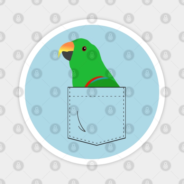 Eclectus Male Parrot In Your Front Pocket Magnet by Einstein Parrot